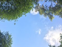 -近代中国十八先贤铜像广场(广州校区)