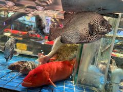 -聚福宝合苑食府(南头镇店)