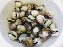 血蛤-老三鱼仔店