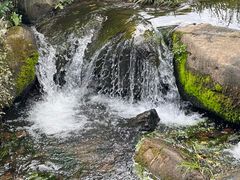 -中国茶叶博物馆(双峰馆区)