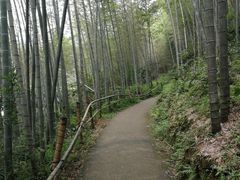 -千泷沟大瀑布旅游区