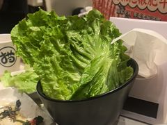 -猫爪爪原切自助烤肉(观音桥阳光世纪店)
