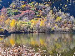 -叠溪松坪沟景区
