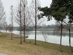 -眉山湿地公园(东坡区)