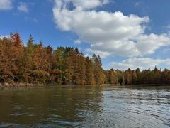 -上海海湾国家森林公园