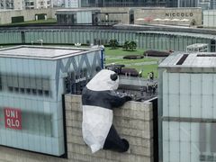 -雷祖芳老妈蹄花店