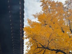 -红螺寺