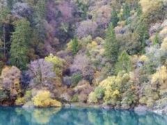 -叠溪松坪沟景区