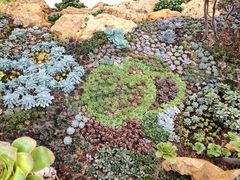 -南通洲际绿博园