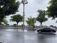 -野菌皇海景野生菌火锅(滨海大道店)