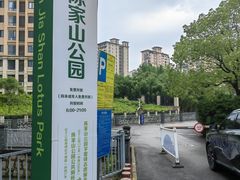 -陈家山荷花公园