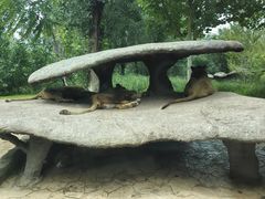 -北京野生动物园