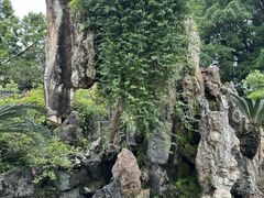 -西湖公园(鼓楼区)