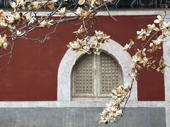 -北京艺术博物馆(万寿寺)