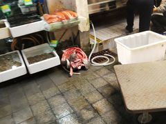 -青石桥市场北1-27号