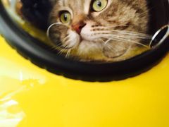 -天使咖啡(兴新街店)