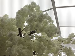 -艾薯夫妇Aysh(福田星河COCOPark店)