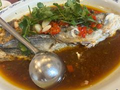 -旭龙鱼头王(航华店)