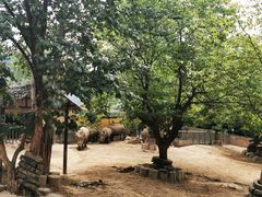 -西安秦岭野生动物园