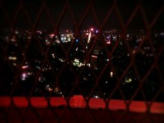 -辽宁电视塔