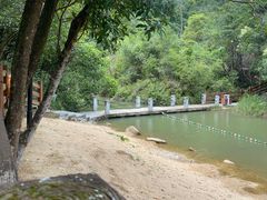 -广州白江湖森林公园