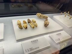 -湖南省地质博物馆