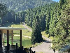 -武陵山森林公园