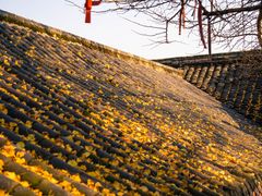 -金堂县云顶石城风景区