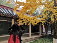 -南岳衡山风景名胜区-南岳大庙