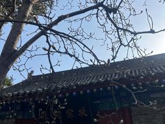 -万寿八仙宫