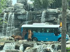 -北京野生动物园