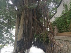 -乌山风景区