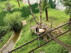 -沈阳森林动物园