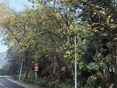 -火炉山森林公园