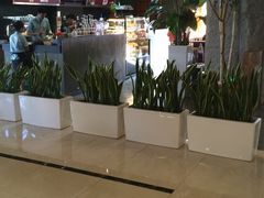 -纽斯桑拿会所(餐厅天山路店)