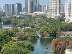 -荔湾湖公园