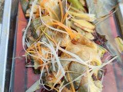 -双新垂钓园