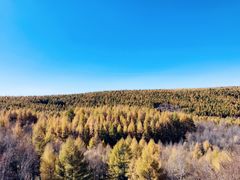 -塞罕坝国家级自然保护区