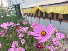 -札达土林-托林寺