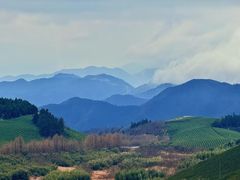 -东白山