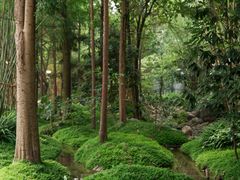 -成都市活水公园