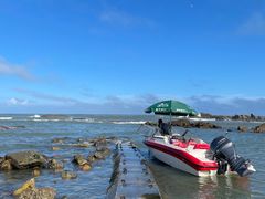 -海合安青岛极地海洋公园