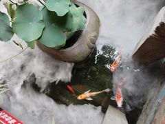 -三只耳火锅(宽窄巷子店)