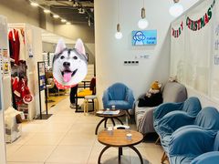 -天真蓝照相馆(宁波来福士店)
