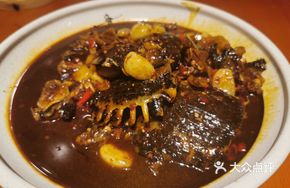 Braised Softshell Turtle