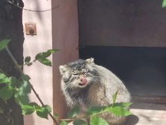 -青藏高原野生动物园