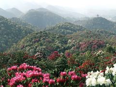 -梧桐山风景名胜区