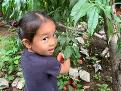 -碓臼峪自然风景区