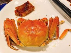 -夜市全日餐厅·洲际酒店(石家庄洲际酒店)