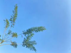 -湖南省地质博物馆